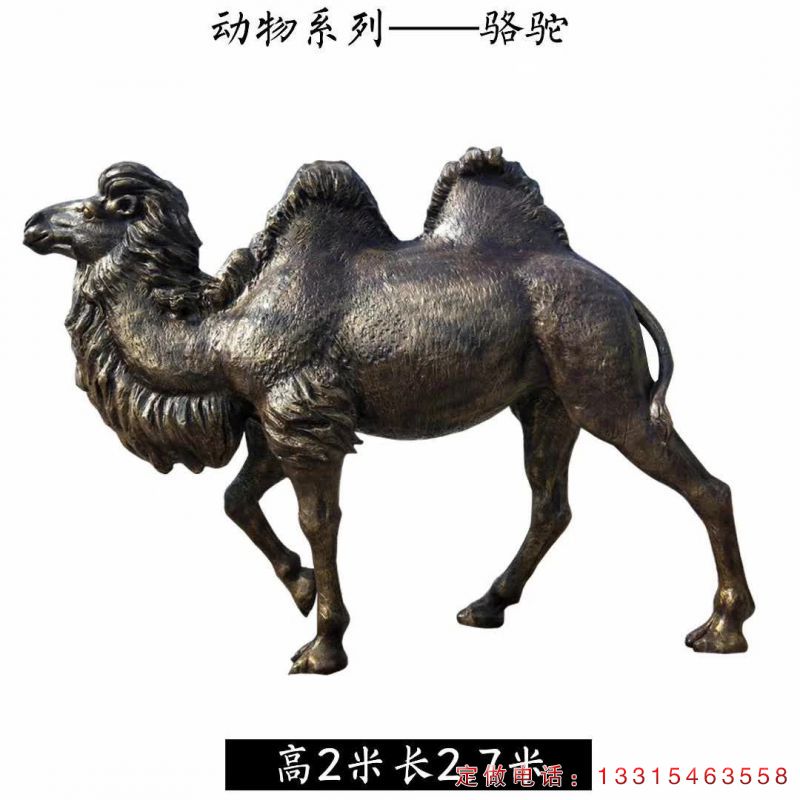 广场骆驼铜雕（1）